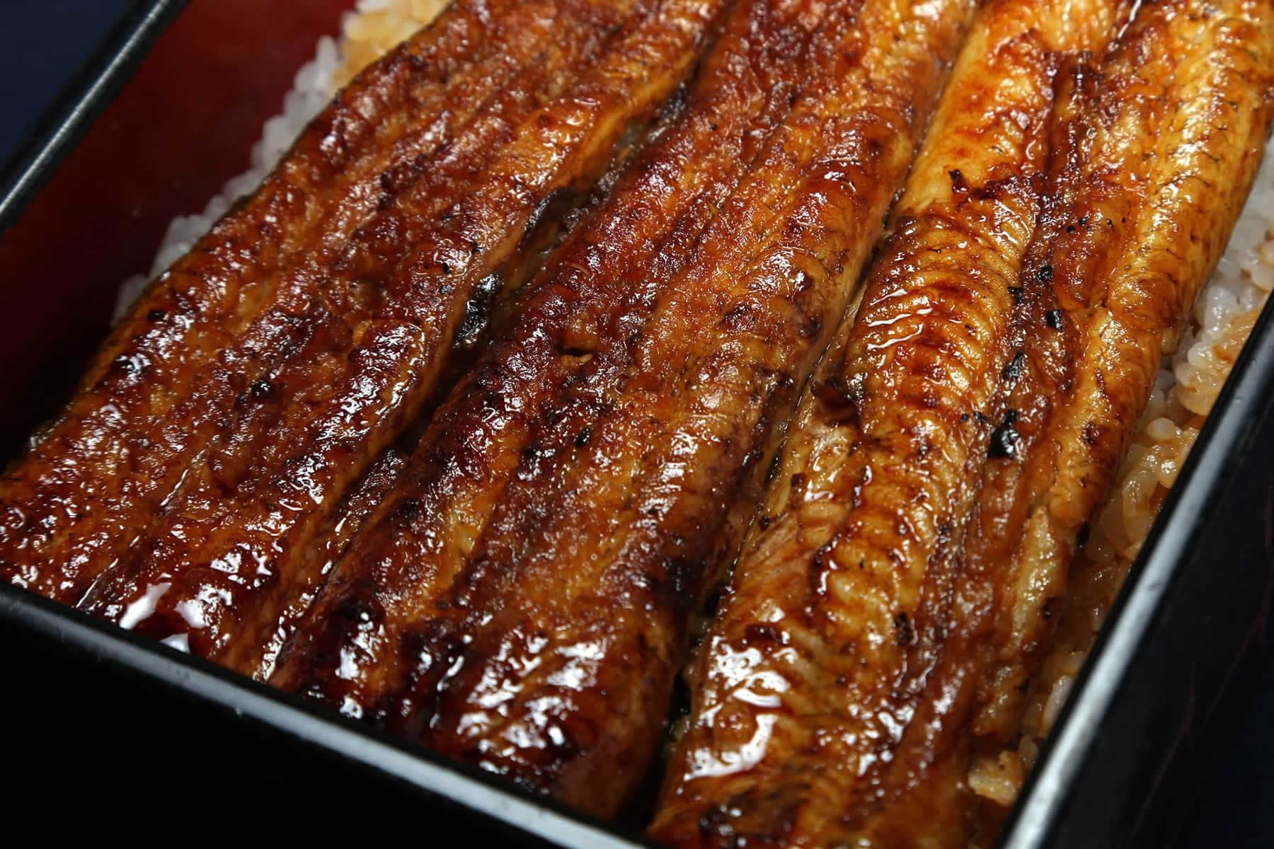 Grilled eel