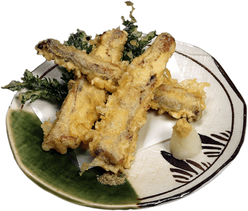 うなぎ 鰻 ウナギ 割烹料理の髙橋屋 うなぎ 鰻 ウナギ 割烹料理の髙橋屋